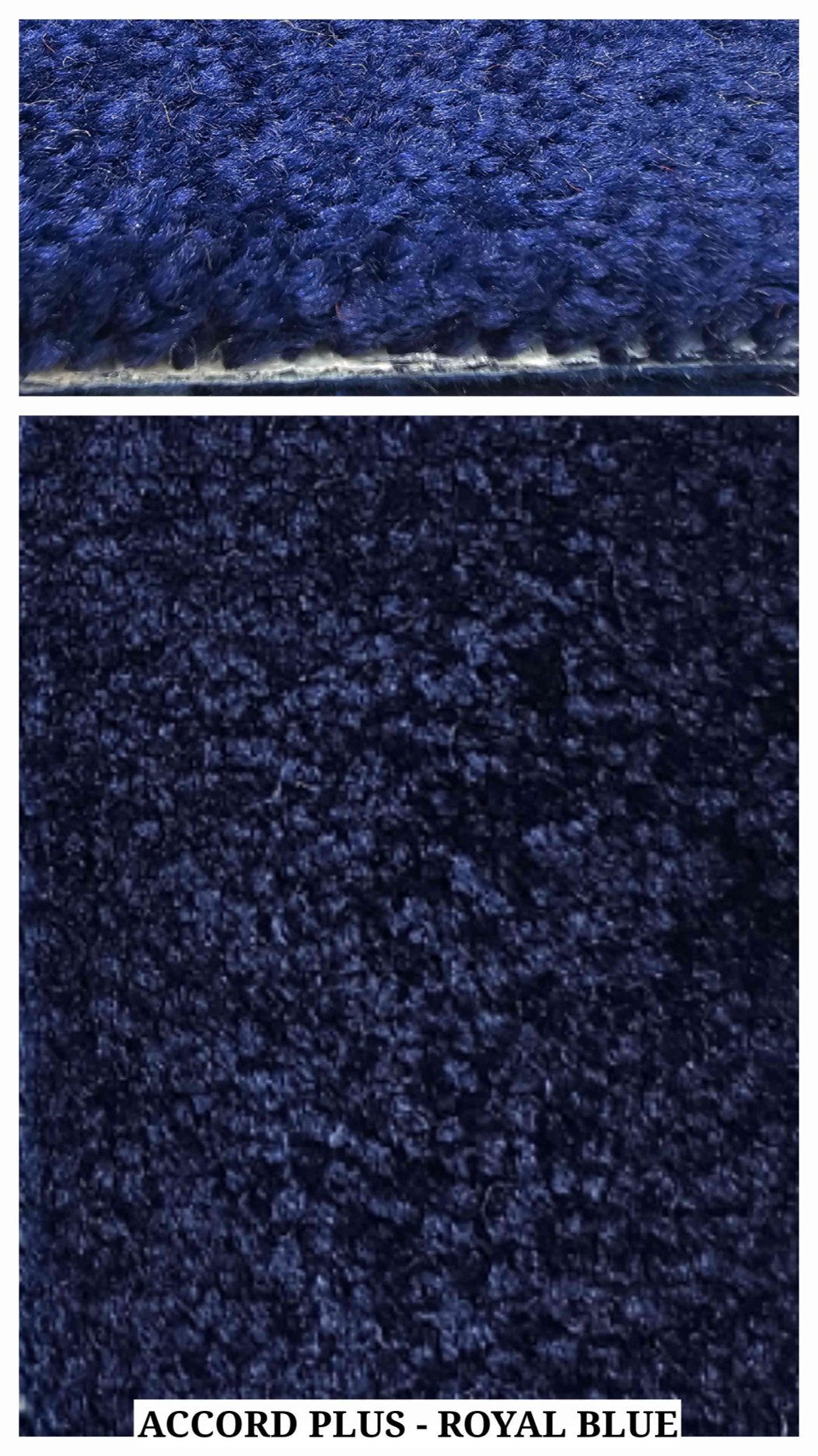 Accord Plus 12ft Carpet Tile Royal Blue