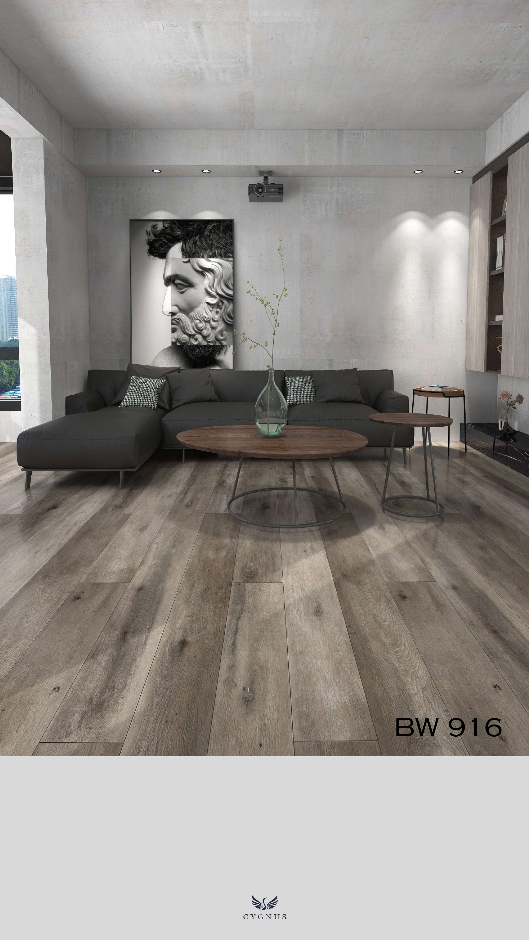 BW 916 WS Barnwood Herringbone Laminate Flooring - Durable & Stylish