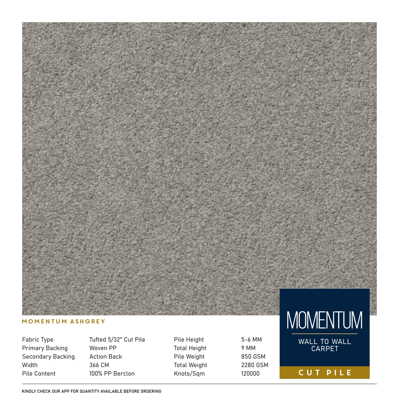 Momentum Ashgrey Divine Carpet Tile - Durable & Stylish