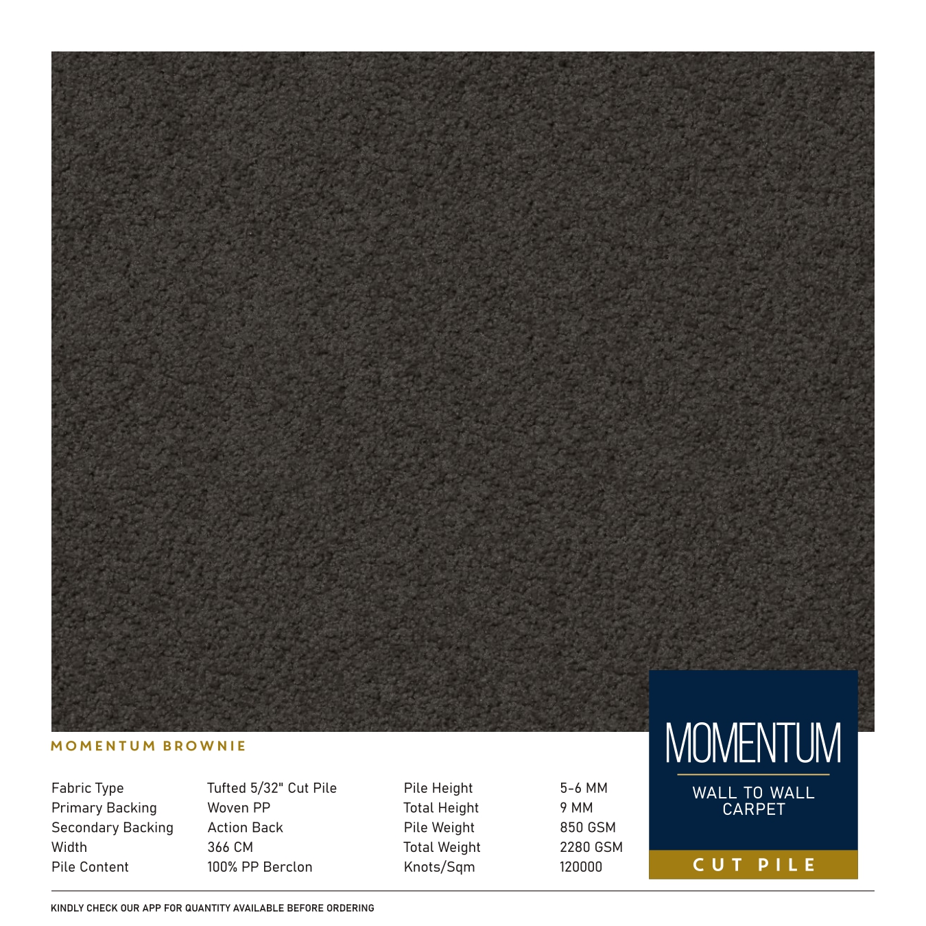 Momentum Brownie Divine Carpet Tile - Durable & Stylish