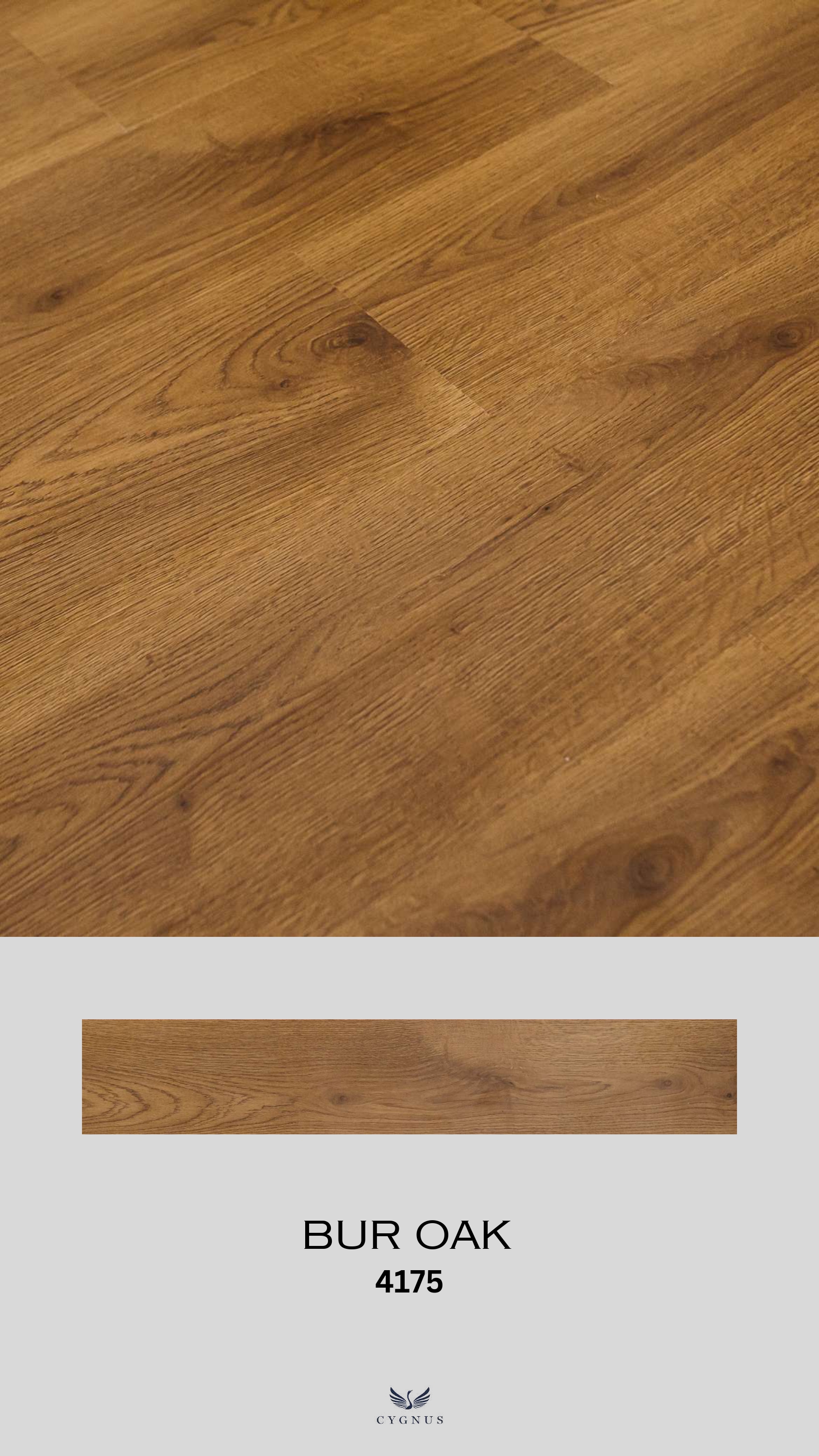 BUR OAK 4175 WS Folium Laminate Flooring - Durable & Stylish