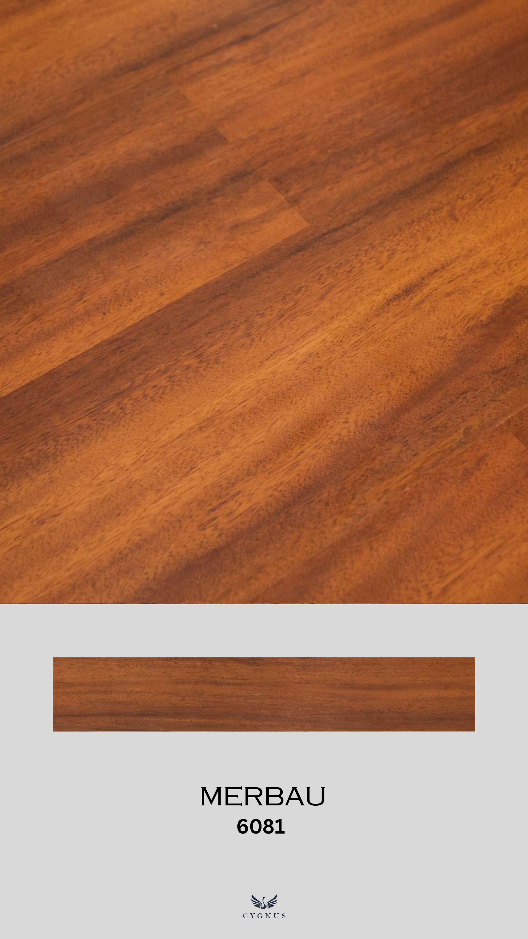 MERBAU 6081  WS Folium Laminate Flooring - Durable & Stylish