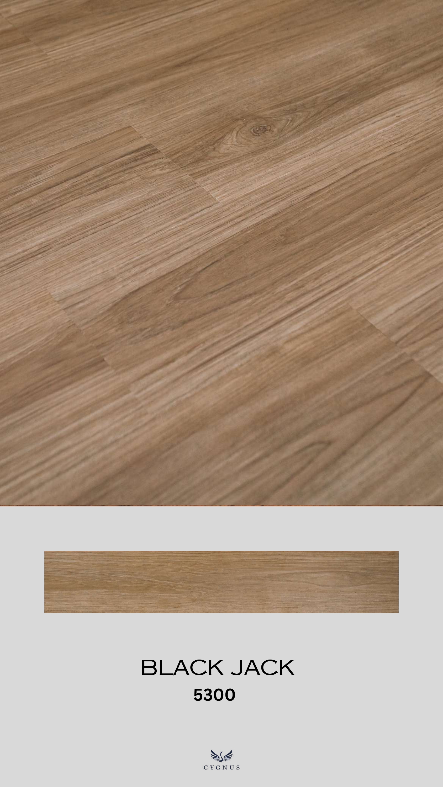 BLACK JACK 5300 WS Folium Laminate Flooring - Durable & Stylish